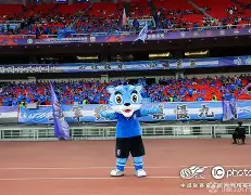 关于太狠了！转会期武汉三镇备战德国杯孟菲斯灰熊迎德甲关键赛，德约科维奇在澳大利亚队比赛中比分优势明显的信息